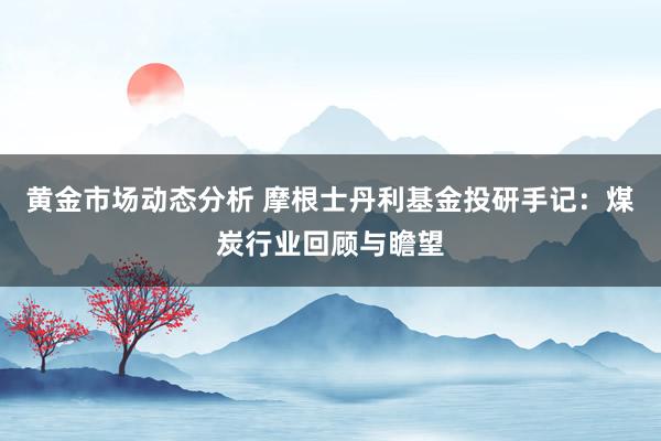 黄金市场动态分析 摩根士丹利基金投研手记：煤炭行业回顾与瞻望