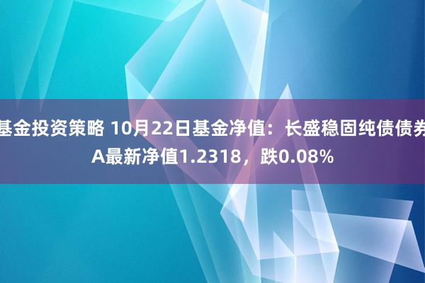 基金投资策略 10月22日基金净值：长盛稳固纯债债券A最新净值1.2318，跌0.08%