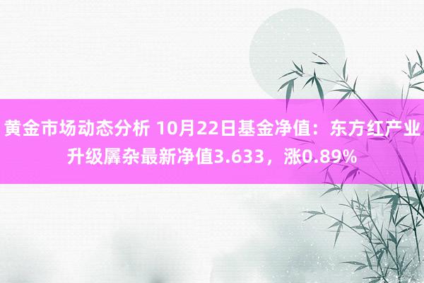 黄金市场动态分析 10月22日基金净值：东方红产业升级羼杂最新净值3.633，涨0.89%