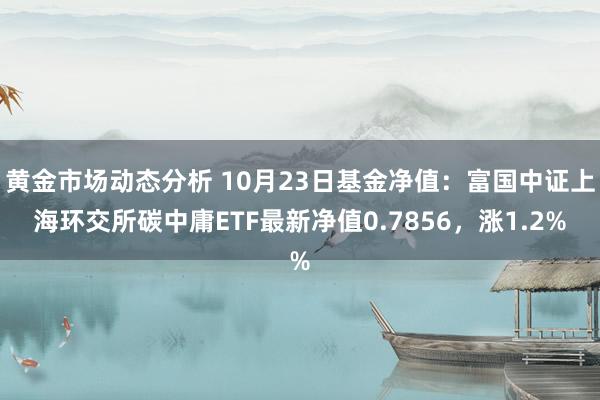 黄金市场动态分析 10月23日基金净值：富国中证上海环交所碳中庸ETF最新净值0.7856，涨1.2%