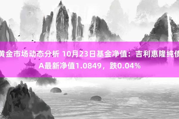 黄金市场动态分析 10月23日基金净值：吉利惠隆纯债A最新净值1.0849，跌0.04%