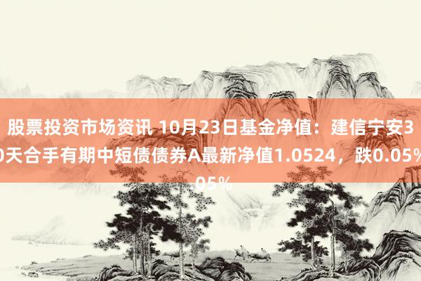 股票投资市场资讯 10月23日基金净值：建信宁安30天合手有期中短债债券A最新净值1.0524，跌0.05%