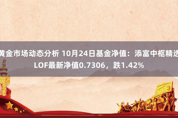 黄金市场动态分析 10月24日基金净值：添富中枢精选LOF最新净值0.7306，跌1.42%