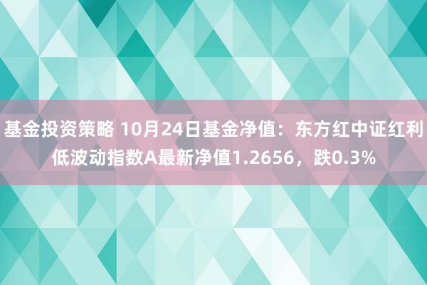 基金投资策略 10月24日基金净值：东方红中证红利低波动指数A最新净值1.2656，跌0.3%