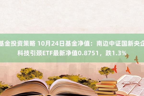 基金投资策略 10月24日基金净值：南边中证国新央企科技引颈ETF最新净值0.8751，跌1.3%