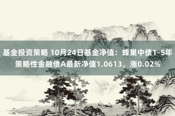 基金投资策略 10月24日基金净值：蜂巢中债1-5年策略性金融债A最新净值1.0613，涨0.02%