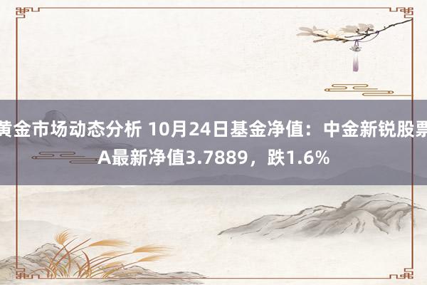 黄金市场动态分析 10月24日基金净值：中金新锐股票A最新净值3.7889，跌1.6%