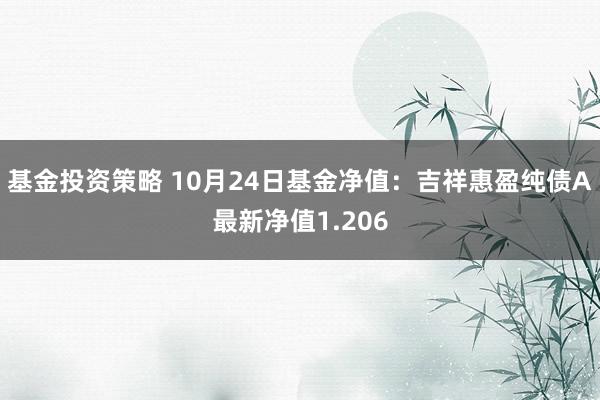 基金投资策略 10月24日基金净值：吉祥惠盈纯债A最新净值1.206