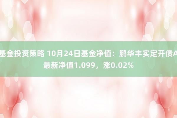 基金投资策略 10月24日基金净值：鹏华丰实定开债A最新净值1.099，涨0.02%