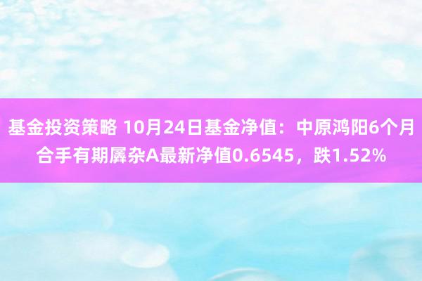 基金投资策略 10月24日基金净值：中原鸿阳6个月合手有期羼杂A最新净值0.6545，跌1.52%