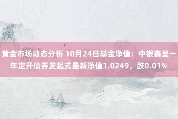 黄金市场动态分析 10月24日基金净值：中银鑫呈一年定开债券发起式最新净值1.0249，跌0.01%