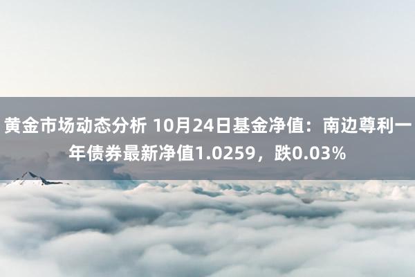 黄金市场动态分析 10月24日基金净值：南边尊利一年债券最新净值1.0259，跌0.03%