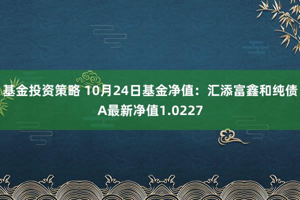 基金投资策略 10月24日基金净值：汇添富鑫和纯债A最新净值1.0227