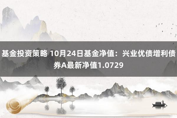 基金投资策略 10月24日基金净值：兴业优债增利债券A最新净值1.0729