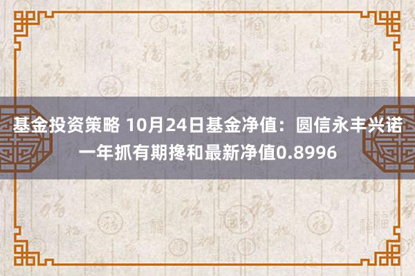 基金投资策略 10月24日基金净值：圆信永丰兴诺一年抓有期搀和最新净值0.8996