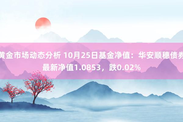 黄金市场动态分析 10月25日基金净值：华安顺穗债券最新净值1.0853，跌0.02%