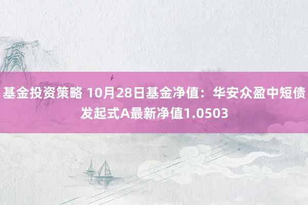 基金投资策略 10月28日基金净值：华安众盈中短债发起式A最新净值1.0503