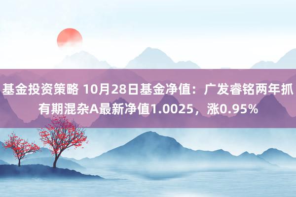 基金投资策略 10月28日基金净值：广发睿铭两年抓有期混杂A最新净值1.0025，涨0.95%