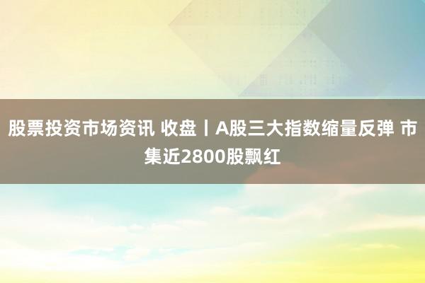 股票投资市场资讯 收盘丨A股三大指数缩量反弹 市集近2800股飘红