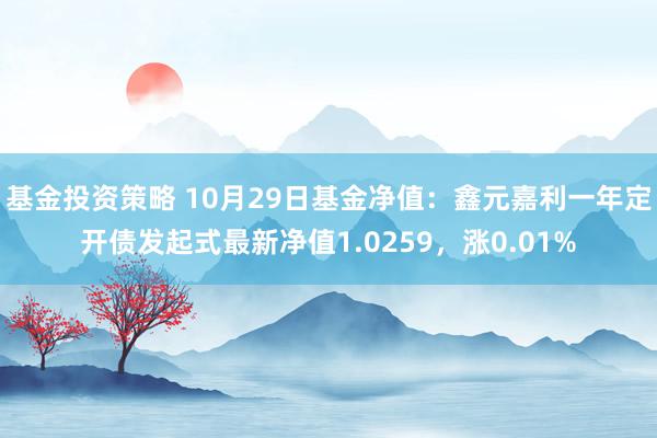 基金投资策略 10月29日基金净值：鑫元嘉利一年定开债发起式最新净值1.0259，涨0.01%