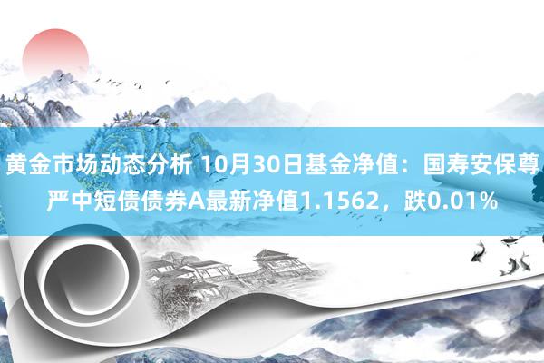 黄金市场动态分析 10月30日基金净值：国寿安保尊严中短债债券A最新净值1.1562，跌0.01%