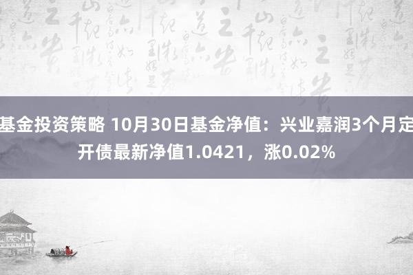 基金投资策略 10月30日基金净值：兴业嘉润3个月定开债最新净值1.0421，涨0.02%