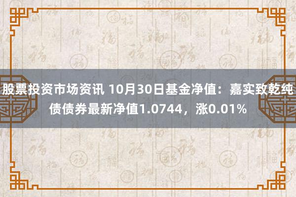 股票投资市场资讯 10月30日基金净值：嘉实致乾纯债债券最新净值1.0744，涨0.01%