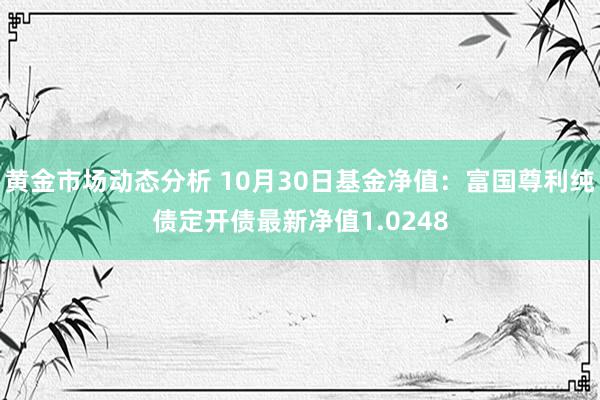 黄金市场动态分析 10月30日基金净值：富国尊利纯债定开债最新净值1.0248