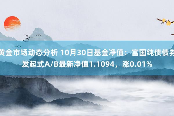 黄金市场动态分析 10月30日基金净值：富国纯债债券发起式A/B最新净值1.1094，涨0.01%