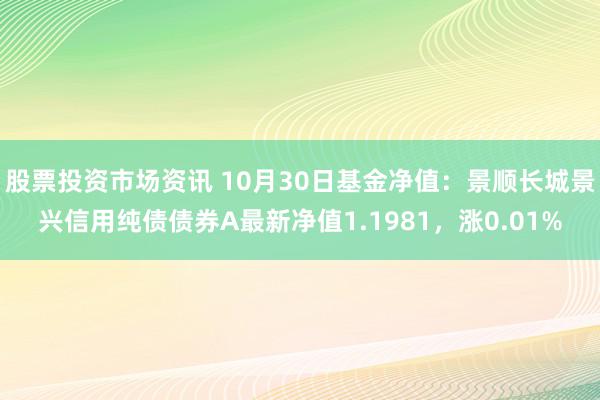 股票投资市场资讯 10月30日基金净值：景顺长城景兴信用纯债债券A最新净值1.1981，涨0.01%