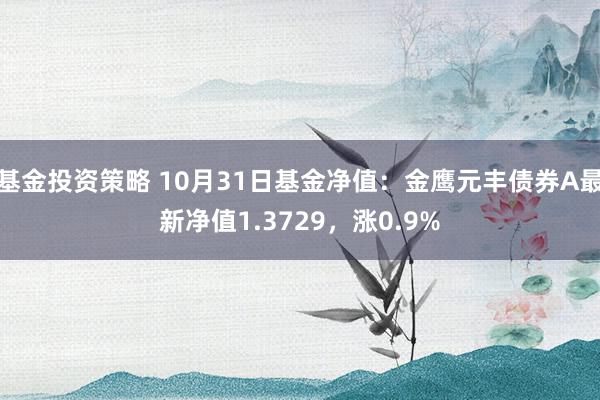 基金投资策略 10月31日基金净值：金鹰元丰债券A最新净值1.3729，涨0.9%