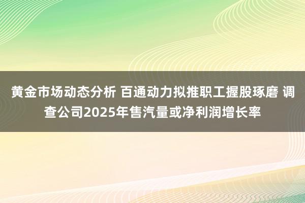 黄金市场动态分析 百通动力拟推职工握股琢磨 调查公司2025年售汽量或净利润增长率