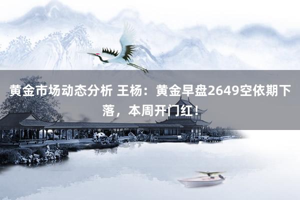 黄金市场动态分析 王杨：黄金早盘2649空依期下落，本周开门红！