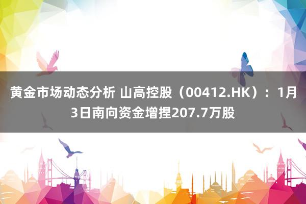 黄金市场动态分析 山高控股（00412.HK）：1月3日南向资金增捏207.7万股