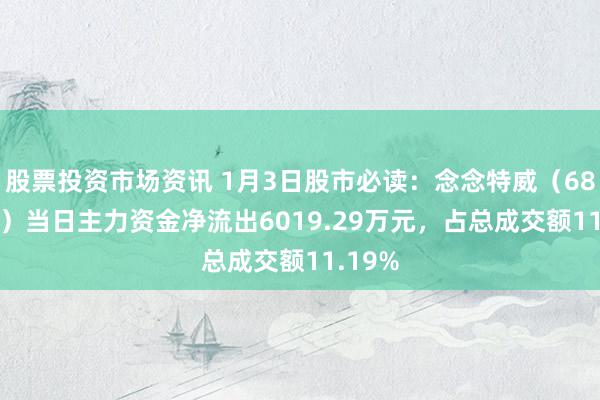 股票投资市场资讯 1月3日股市必读：念念特威（688213）当日主力资金净流出6019.29万元，占