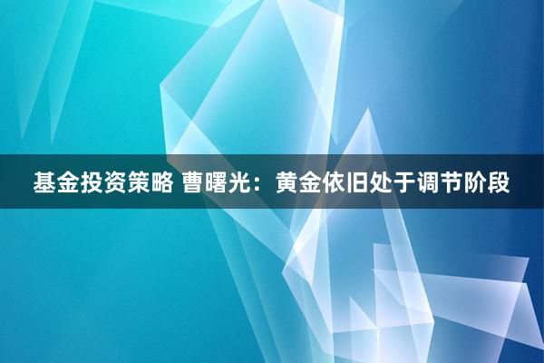 基金投资策略 曹曙光：黄金依旧处于调节阶段