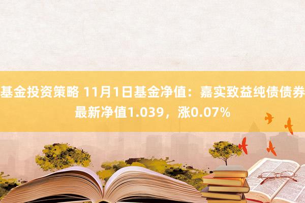 基金投资策略 11月1日基金净值：嘉实致益纯债债券最新净值1.039，涨0.07%