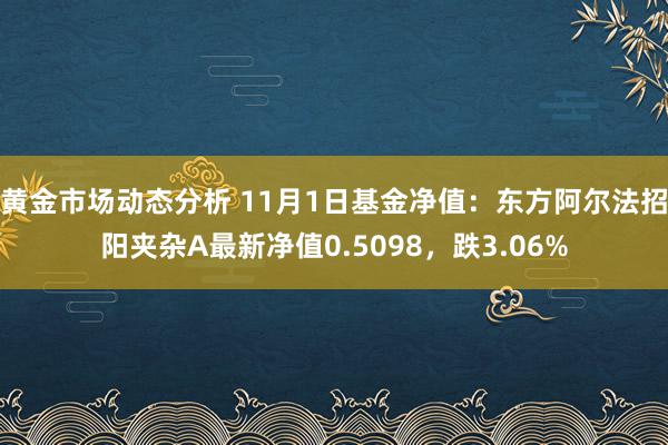 黄金市场动态分析 11月1日基金净值：东方阿尔法招阳夹杂A最新净值0.5098，跌3.06%