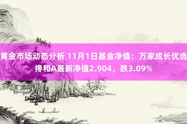 黄金市场动态分析 11月1日基金净值：万家成长优选搀和A最新净值2.904，跌3.09%