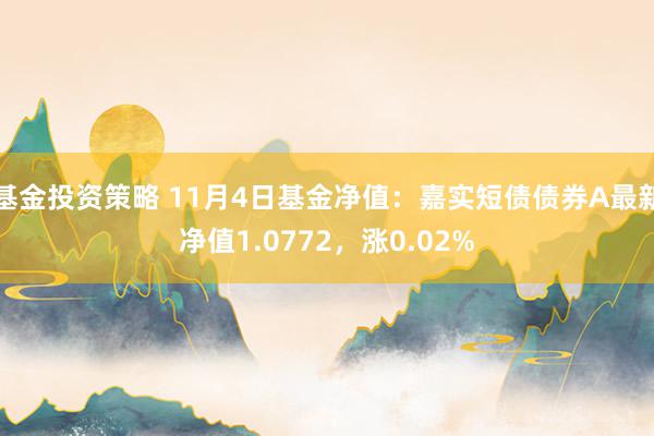 基金投资策略 11月4日基金净值：嘉实短债债券A最新净值1.0772，涨0.02%