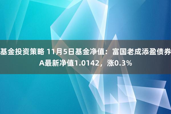 基金投资策略 11月5日基金净值：富国老成添盈债券A最新净值1.0142，涨0.3%