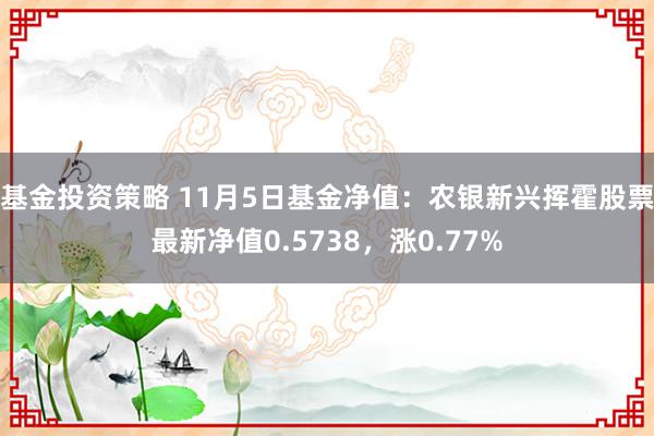 基金投资策略 11月5日基金净值：农银新兴挥霍股票最新净值0.5738，涨0.77%