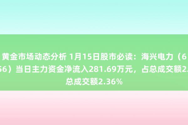 黄金市场动态分析 1月15日股市必读：海兴电力（603556）当日主力资金净流入281.69万元，占总成交额2.36%