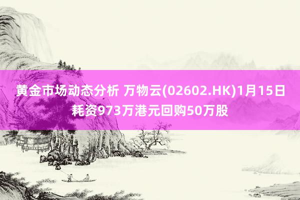 黄金市场动态分析 万物云(02602.HK)1月15日耗资973万港元回购50万股