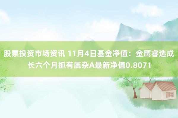 股票投资市场资讯 11月4日基金净值：金鹰睿选成长六个月抓有羼杂A最新净值0.8071