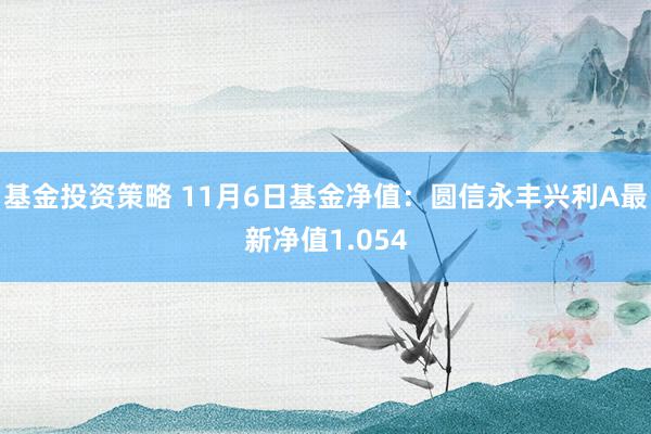 基金投资策略 11月6日基金净值：圆信永丰兴利A最新净值1.054