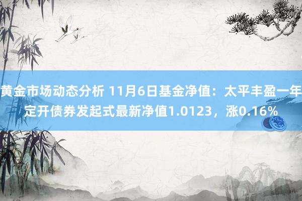 黄金市场动态分析 11月6日基金净值：太平丰盈一年定开债券发起式最新净值1.0123，涨0.16%