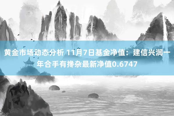 黄金市场动态分析 11月7日基金净值：建信兴润一年合手有搀杂最新净值0.6747