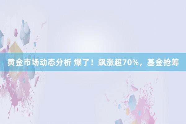 黄金市场动态分析 爆了！飙涨超70%，基金抢筹