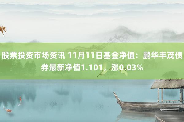 股票投资市场资讯 11月11日基金净值：鹏华丰茂债券最新净值1.101，涨0.03%